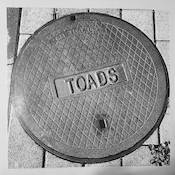 TOADS - S/T